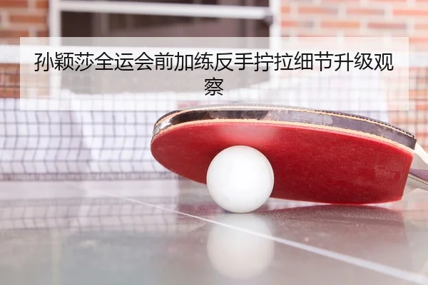 孙颖莎全运会前加练反手拧拉细节升级观察